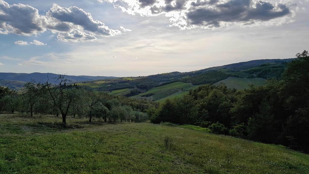 Holiday House Le Selvole Radda in Chianti Extérieur photo