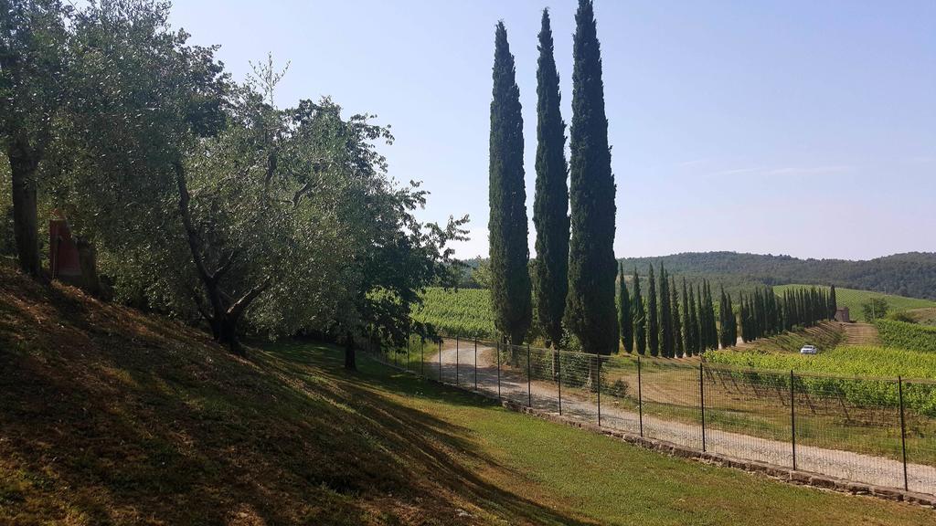 Holiday House Le Selvole Radda in Chianti Extérieur photo