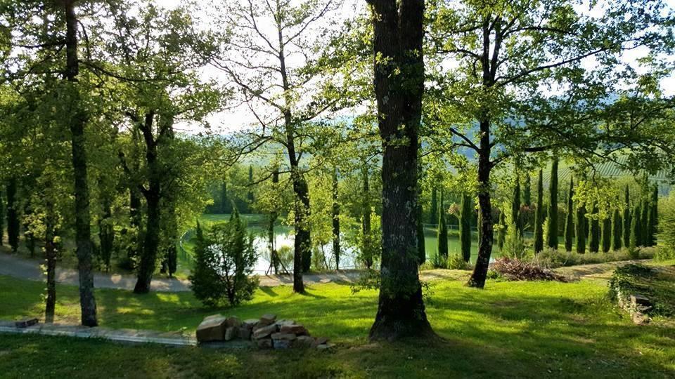 Holiday House Le Selvole Radda in Chianti Chambre photo