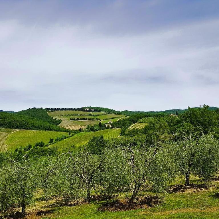 Holiday House Le Selvole Radda in Chianti Chambre photo