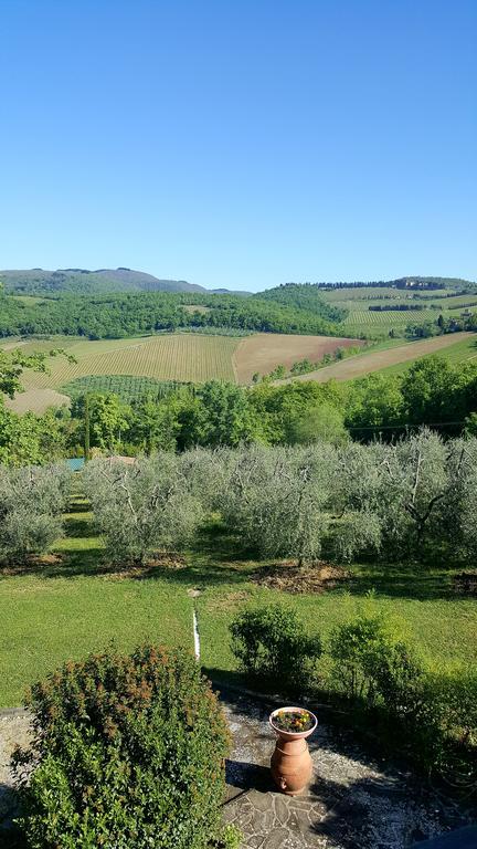 Holiday House Le Selvole Radda in Chianti Extérieur photo
