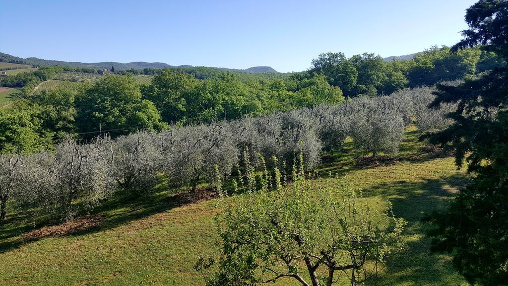 Holiday House Le Selvole Radda in Chianti Extérieur photo