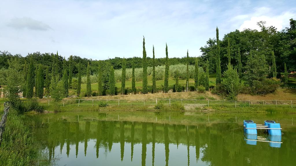 Holiday House Le Selvole Radda in Chianti Extérieur photo